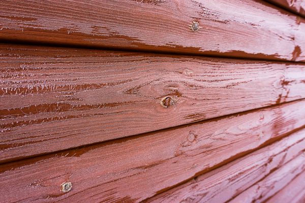 Cedar Siding Cleaning in Palm Coast