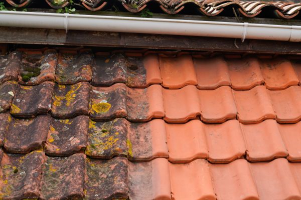 Industrial Roof Cleaning in Palm Coast