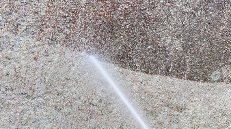 Before and After Results