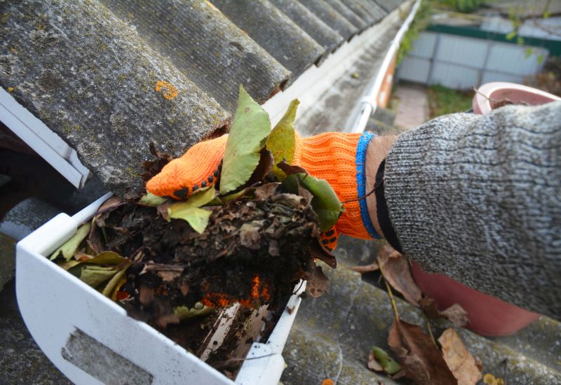 Soffit Dirt Removal